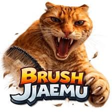 Brush Jjaemu Cat